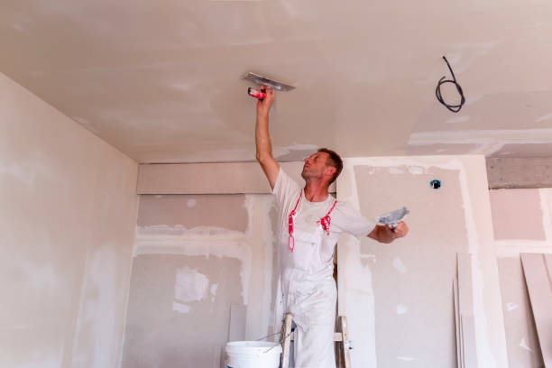 Best Trim and Molding Painting  in Wahoo, NE